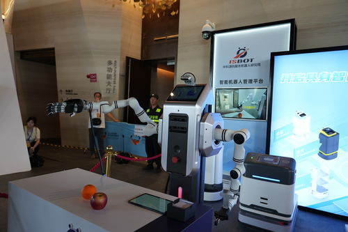 三年行动计划发布 成都将打造全国人形机器人研发制造增长极和示范应用新高地