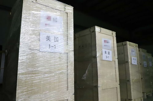 深兰研发的智能机器人向海外 出口