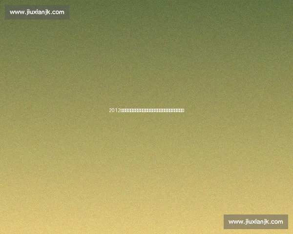 2012年欧洲杯葡萄牙对阵荷兰经典之战全景回顾战术与命运交织